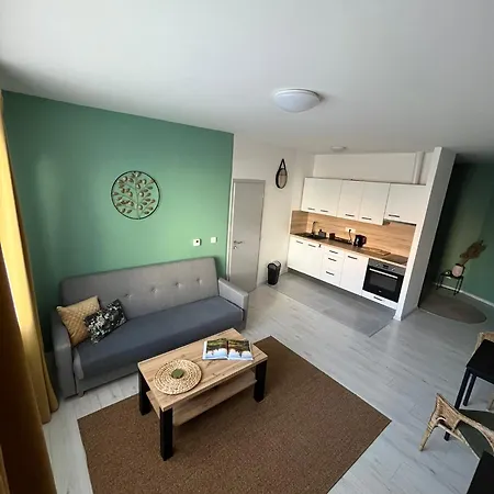 Apartmán Na Dukelské S Garáží *